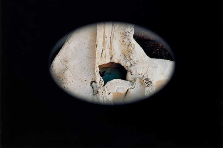 ShinnWe_A-Universal-Egg_PhotoArt_15x10