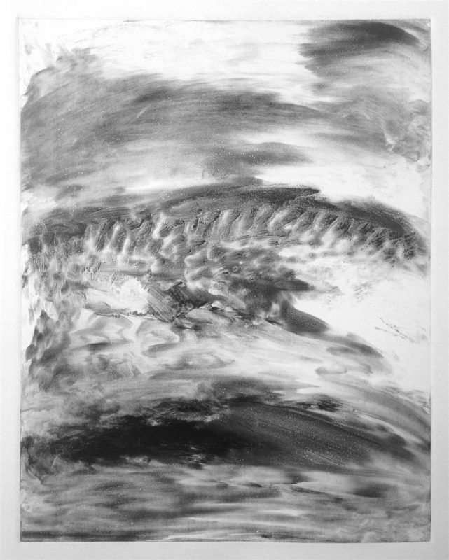 ZabrowskiJa_Pt.Reyes_Monotype_20x23