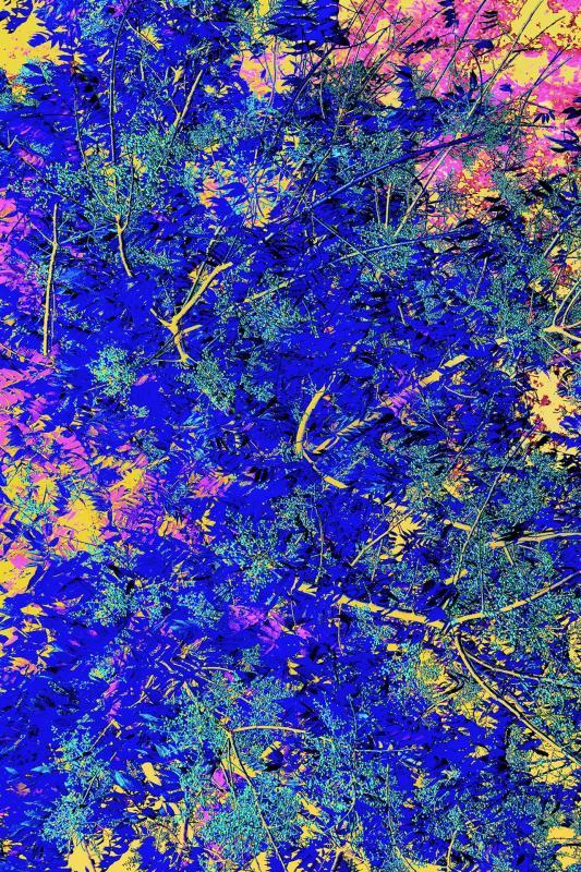 McGarrahDa-UNFORMED-THOUGHTS-4_1