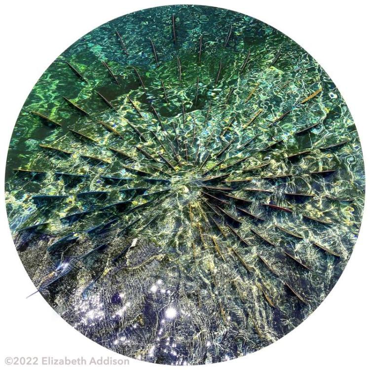AddisonEl-Smith-River-Reverie-III-230106201226_1