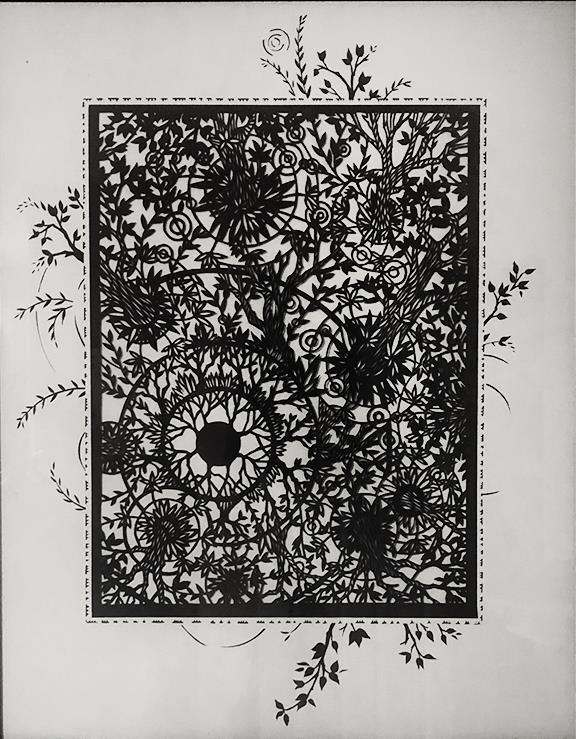 CollinsDe-Above-the-Understory-230107120944_1