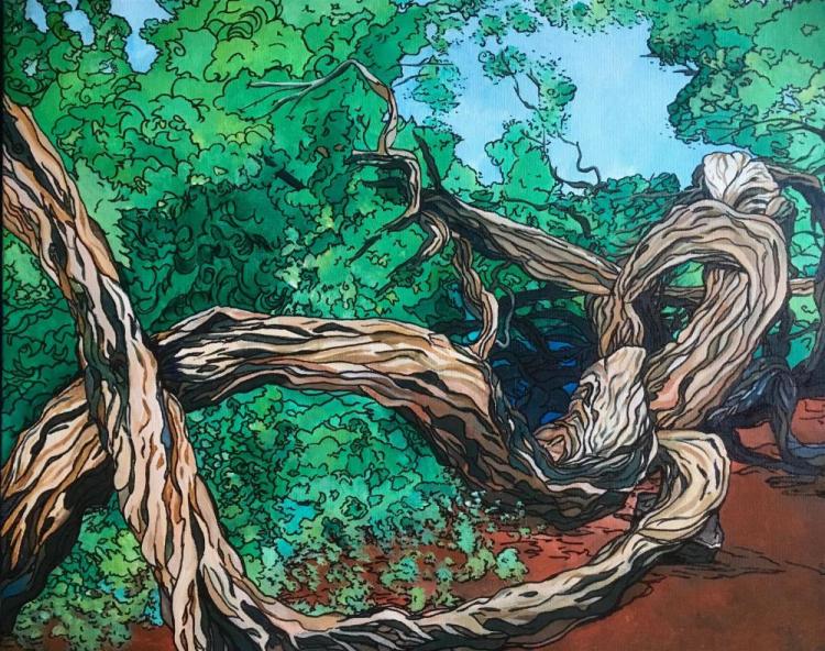 McCollumRe-LandEscapes-15-Twisting-Tree-230105103552_1