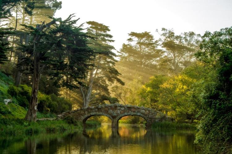 AllenRo-The-Old-Stone-Bridge-251206175546_1