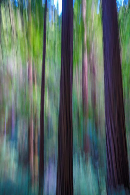 BarnhartDe-When-you-gonna-learn-251116125747_1