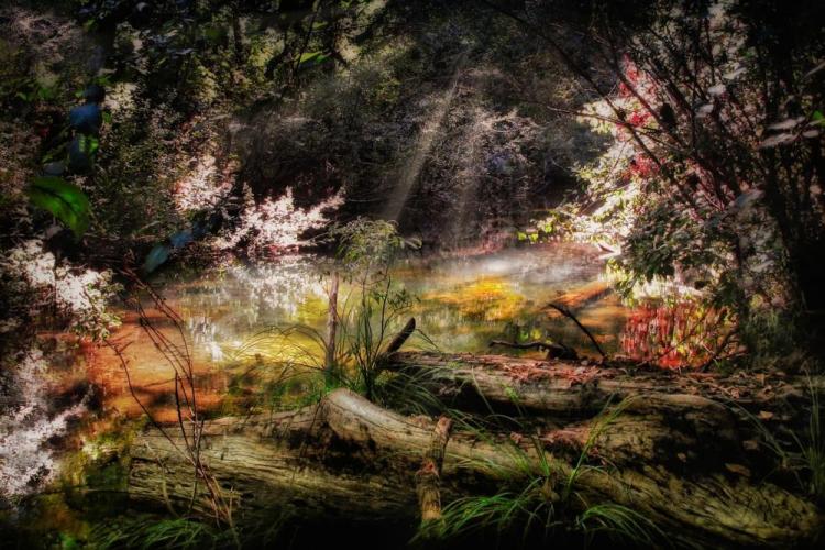 BorrelliPa-Navarro-River-251206133628_1