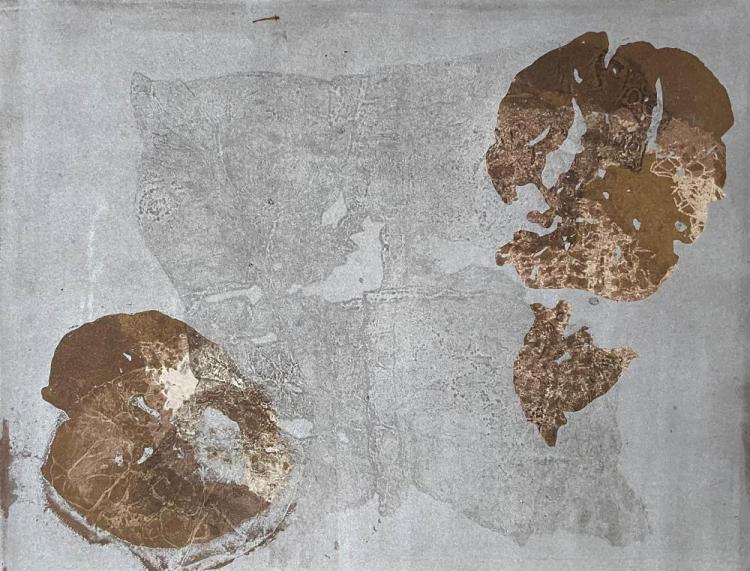 CampbellBa-Pond-Seed-Pods-251206123335_1