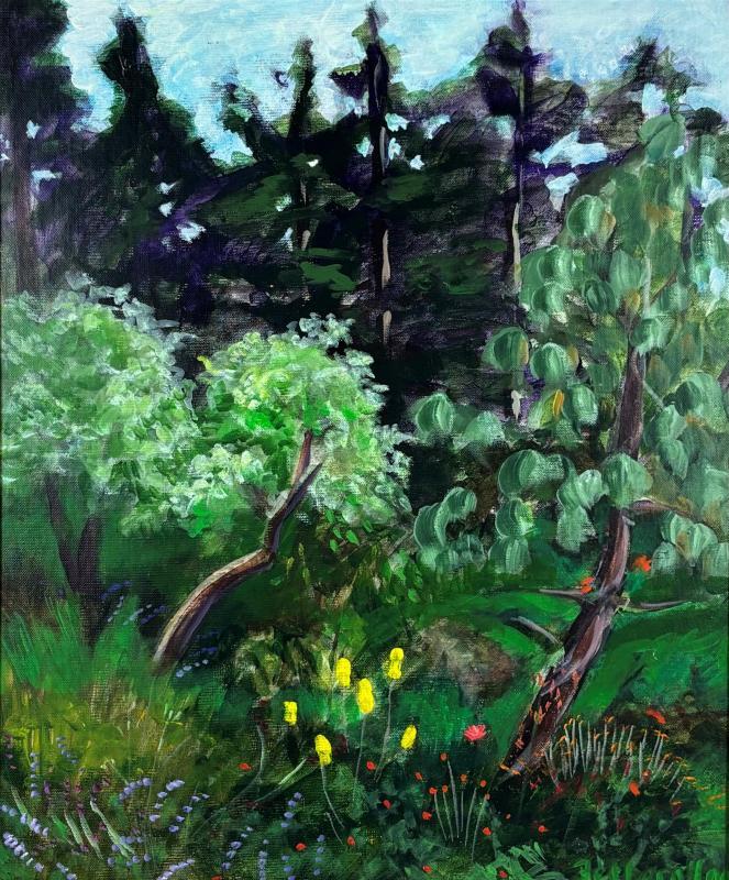 FetherolfMa-Arboretum-251204105345_1