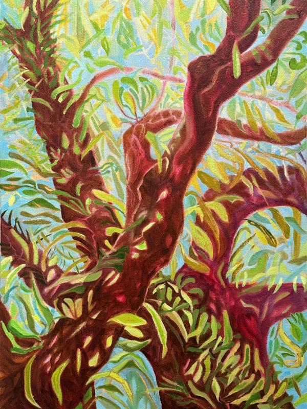 GoedenMa-Summer-Jungle-251109141515_1