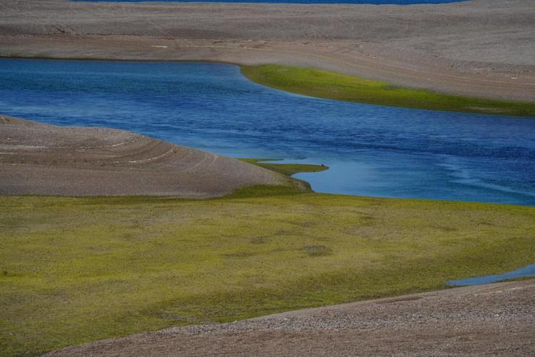 LeeCh-Colors-in-Nature-251203170450_1