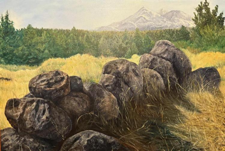 MONTGOMERYLA-Shasta-251206172341_1