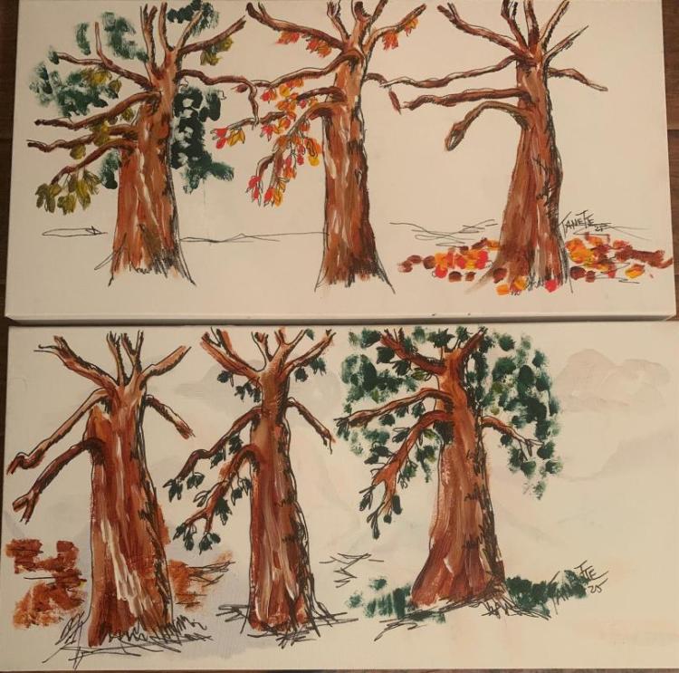 MaffeiTa-Natures-Renewal-251130215024_1