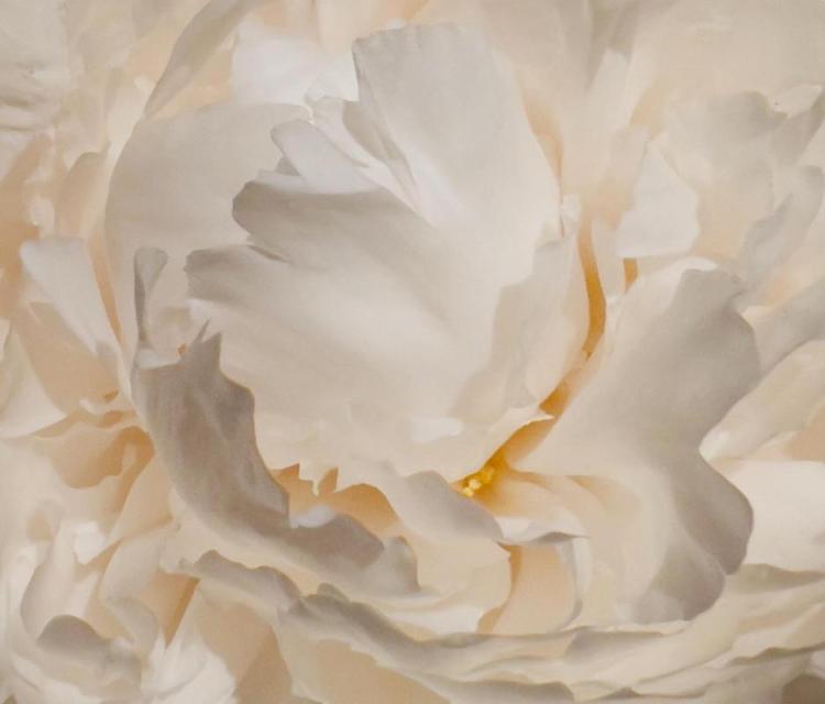 MarkBa-Whispering-Angels-251124160220_1