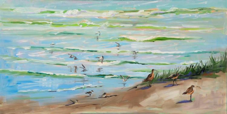 MasseyMa-Seabird-Sanctuary-251201061741_1