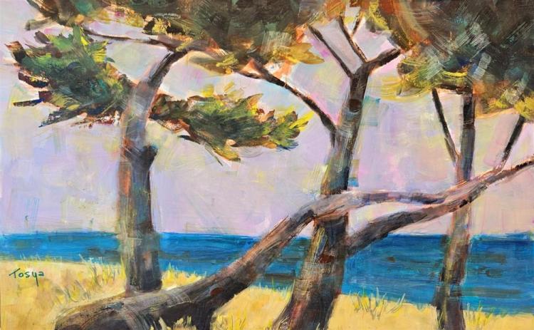 ShoreTo-Every-Little-Breeze-Whispers-Trees-251124084034_1