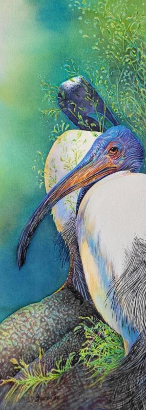 SweetSu-Sacred-Black-Ibis-I-251205202511_1