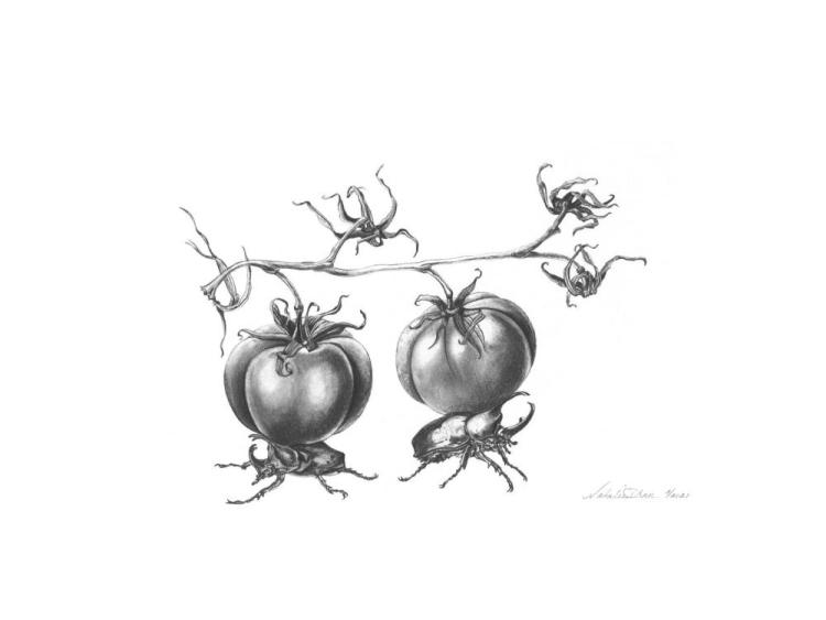 TurnerNa-Struggle-III-251130194832_1