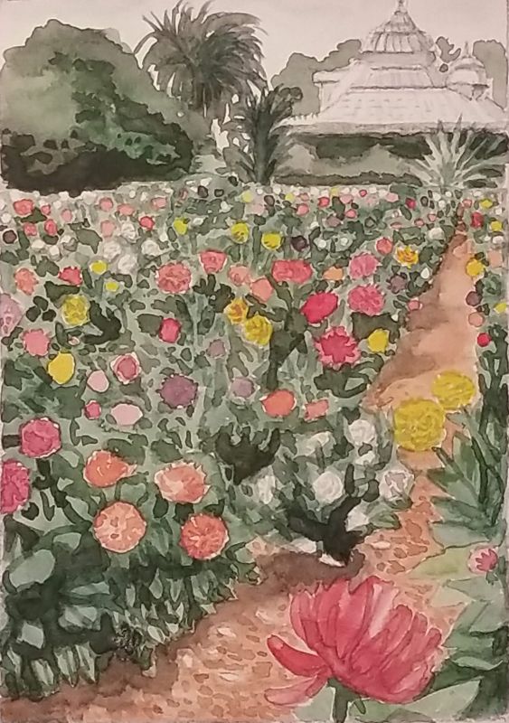 Rodriguez-dahlia-garden