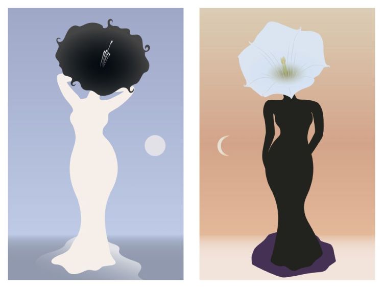 Art & Illustration