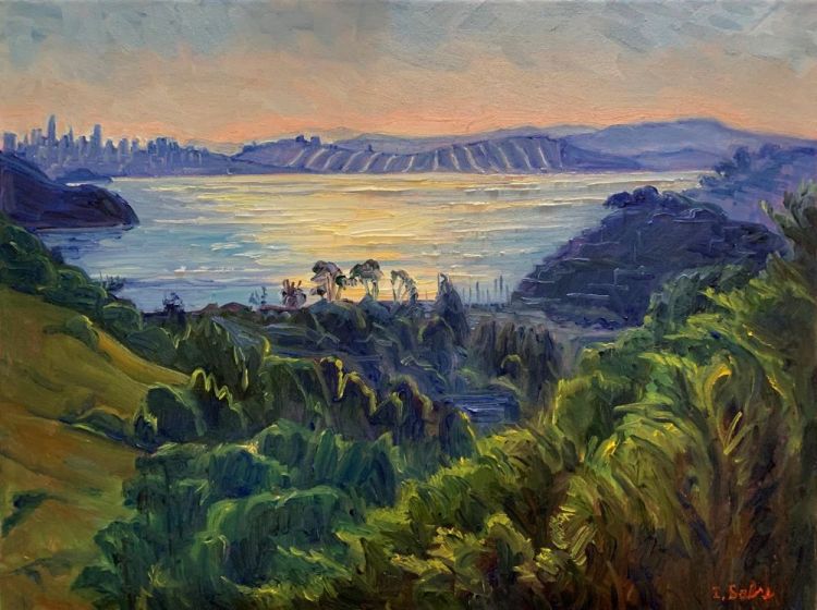 SabreIr-Tiburon-Morning_1